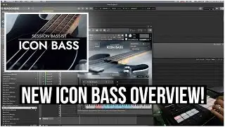 New Icon Bass From Native Instruments Overview (Session Bassist Kontakt Instrument)