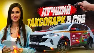 Первые шаги | Питерпарк | Яндекс Про