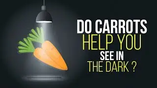 Do Carrots Help You See in the Dark ?