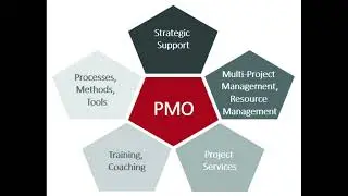 Project Management Office (PMO) Roles and Responsibility #leadership #management #pmo #quality