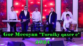 Գոռ Մեծոյան "Թոռնիկը քաղցր է"   Gor Mecoyan "Torniky qaxcr e"  (Official-Video)-2024 Full HD