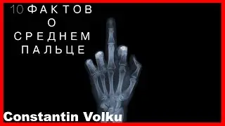 10 ФАКТОВ О СРЕДНЕМ ПАЛЬЦЕ