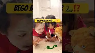 Stupid Eating Snakes 🐍 ⁉️