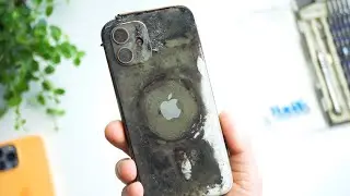 Самые популярные проблемы iPhone