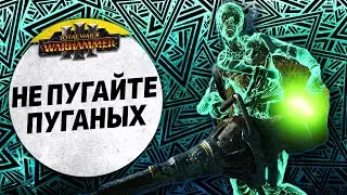 Не пугайте пуганых | Демоны Хаоса vs Вампопираты | Ленды | Total War: WARHAMMER 3