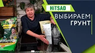 Выбираем грунт для рассады ✔️ Выращивание рассады