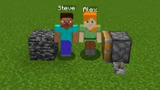 steve + alex = ???