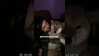 Эдисон и Марти 