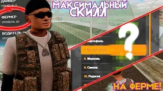 МАКСИМАЛЬНЫЙ СКИЛЛ НА ФЕРМЕ! 2.5КК за ЧАС НА AMAZING ONLINE