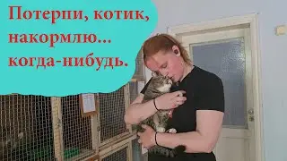 Мы в отчаянии. Объявляем день стольника.