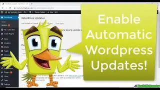 How to Enable Automatic Updates for WordPress Plugins + Core + Themes