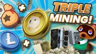 New Mineable Coin Producing $250k DAILY?! How To Mine Bellscoin BEL with Dogecoin and Litecoin!