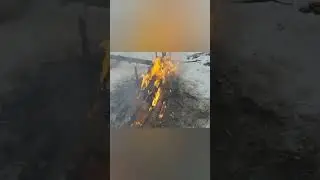 ЧТО БУДЕТ ЕСЛИ КИНУТЬ КОНСЕРВНУЮ БАНКУ В КОСТЕР