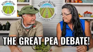 What Are Field Peas?