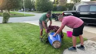 The Beginnings of Fall Transformation - Removal of Plants