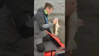 ДАЛ, ДАЛ УШЁЛ) 