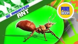 Green Screen Ant Insect Walk Run Death - Footage PixelBoom