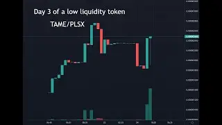 Day 3 of Tame Token on Pulsechain  - Bullflag Breakout but low liquidity