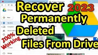 Recover permanently deleted files from Google Drive