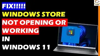 How to fix windows Store Not opening in Windows 11