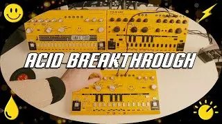 🤯 ACID BREAKTHROUGH | Behringer TD-3 / TD-3 MO / RD-6 Synth Jam ⚡