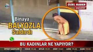Bu Kadınlar Ne Yapıyor?
