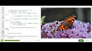 Using a JS library: Slideshow library (Video version)