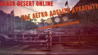 бдо дукаты где взять | Black desert online Стальной Бронзовый Серебряный дукат