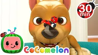 Dog gets distracted by a ladybug | CoComelon Nursery Rhymes & Kids Songs