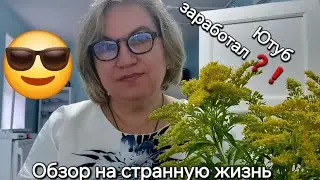 Обзор. Донна сохранит МОНЕТИЗАЦИЮ 🤔❗️❓️