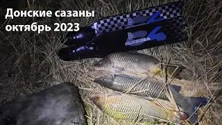 Донские сазаны октябрь 2023 ночная подводная охота 2023 подводная охота 2023 охота на сазана 2023