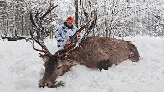 💥Охота на ЛОСЯ и ОЛЕНЯ 💥 Уникальные кадры.