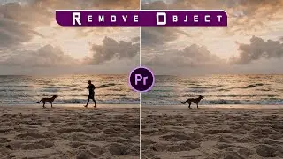 How to Remove Object From Video in Premiere Pro | Remove Moving Object Premiere Pro [Tutorial]