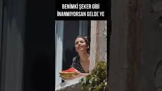 Şevkat Benimkiler Şeker Gibi! #shorts