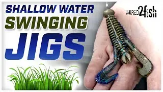 Fishing Swing Head Jigs for Bass in Shallow Grass