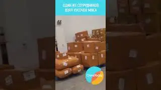 Бизнес с Китаем 😺 История, как кот забежал на склад ChinaToday #каргокитай