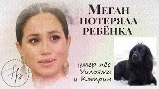 Потеряла ребёнка: Меган Маркл пережила выкидыш + умер Люпо - пёс принца Уильяма и Кейт