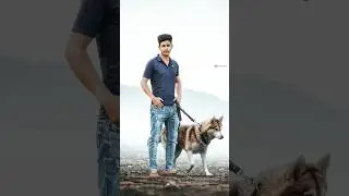 Wolf photo editing / Realistic editing /Background change photo editing #short #shorts #picsart