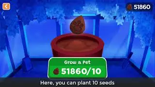 Getting New Pets