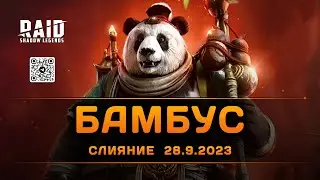 Бешеная панда | 2.10.2023 | Помощь новичкам | Raid: Shadow Legends