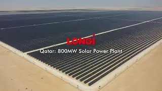 LONGi Case: Qatar 800MW Solar Power Plant