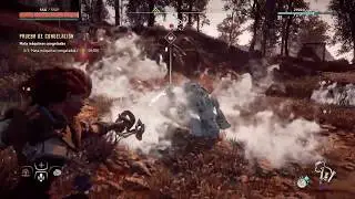 Prueba de congelación - Horizon Zero Dawn PS4