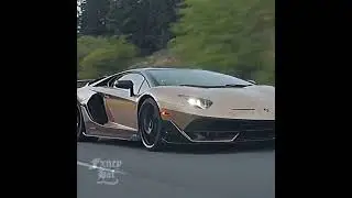 Bit of the beat but still amazing #lamborghini #car #edit