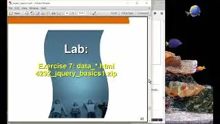 jQuery Basics I Part 2