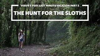 We Spent 24 Hours in Costa Rica's Monte Verde Cloud Forests Searching for Sloths!