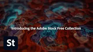 Adobe Stock Launches 70k+ Free Assets | Adobe Creative Cloud