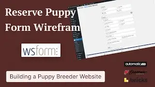 Puppy Breeder Website: Reserve Puppy Form Wireframe Using  WS Form, ACSS, & Frames