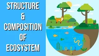 Structure & Composition of Ecosystem | Environmental Science | EVS | Letstute