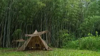 Solo Camping in a Bamboo Grove in the Rain