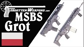 MSBS Grot: The Complete History of Polands New Army Rifle